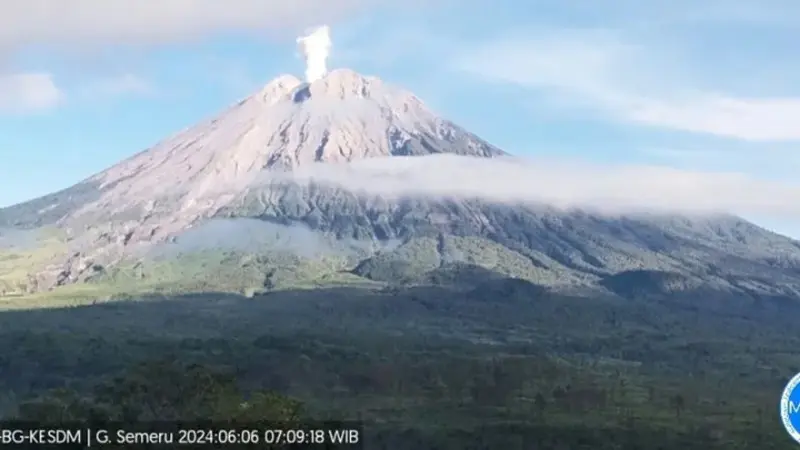 Gunung Semeru Alami Lima Kali Erupsi