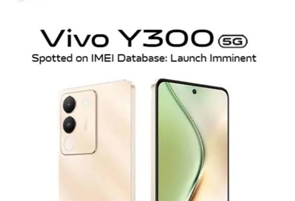 Vivo Y300