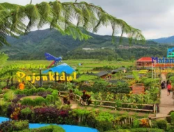 Menikmati Pesona Desa Wisata untuk Liburan yang Berkesan