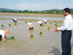 Mentan Tinjau Irigasi Konawe untuk Tingkatkan Produktivitas Pertanian