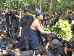 Suku Kajang, Penjaga Hutan Tropis Sulawesi Selatan