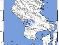 BMKG Catat 47 Kali Gempa Bumi Susulan di Kolaka Timur