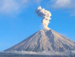 Letusan Gunung Semeru Berlanjut, Lontarkan Abu Vulkanik hingga 1 Kilometer