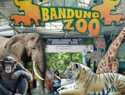 Pemkot Bandung Minta Pendampingan Hukum Kejati Jabar Hadapi Gugatan Kasus Bandung Zoo