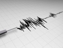 Gempa Magnitudo 6,3 Guncang Barat Laut Timor Tengah Utara, Getaran Terasa di Sejumlah Wilayah NTT